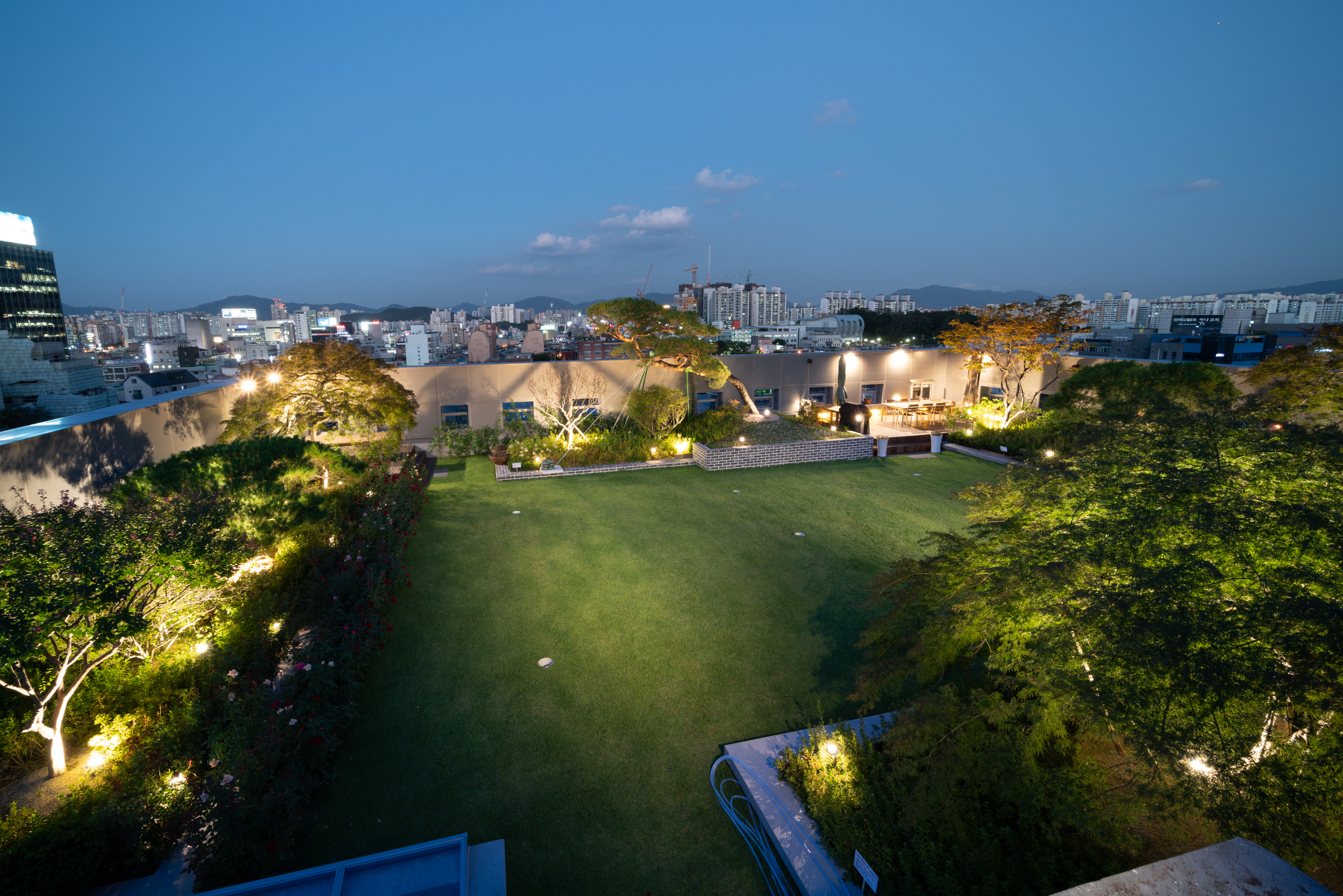 view